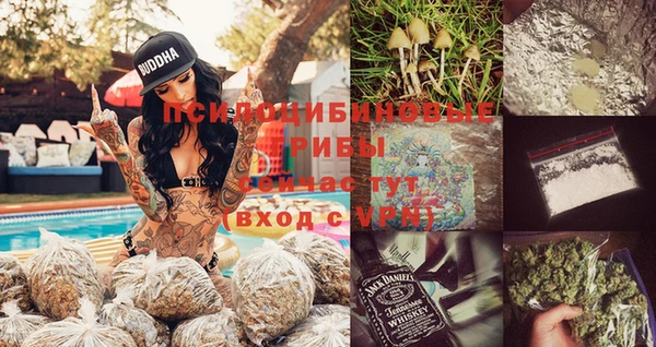 сатива Армянск