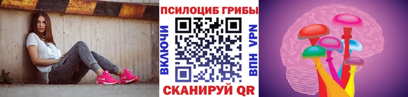 хочу   Судогда  Псилоцибиновые грибы MAGIC MUSHROOMS 