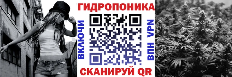 где можно купить наркотик  Судогда  МАРИХУАНА THC 21% 